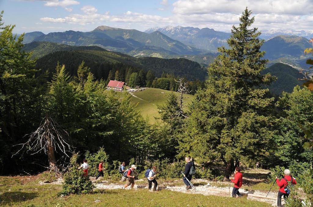 Apartmaji Srnca Cerkno Luaran gambar